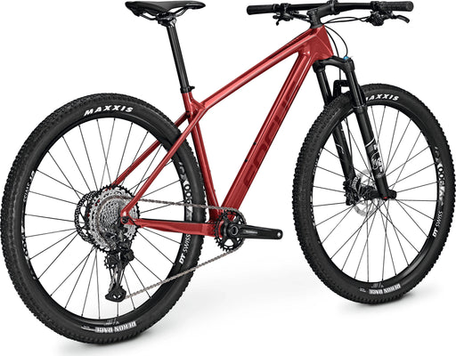 Focus raven mountain bike best sale
